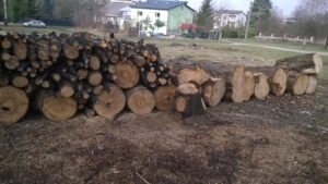 Ogłoszenie o sprzedaży drewna opałowego będącego własnością Gminy Libiąż w trybie przetargu pisemnego nieograniczonego